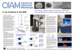 X-ray Analysis in the SEM