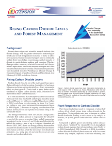 Rising Carbon Dioxide Levels and Forest Management