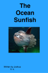 The Ocean Sunfish