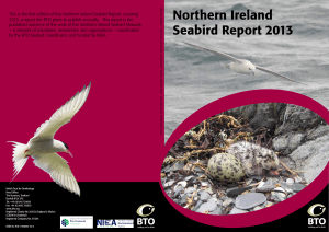 Northern Ireland Seabird Report 2013