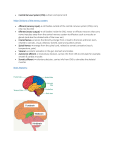 Central Nervous System (CNS) -> brain and spinal cord Major