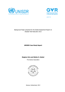 UNISDR Case Study Report