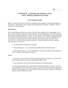 EPS/OEB 56 – Geobiology and the History of Life Lab 8: Paleozoic