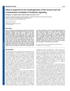 Gbx2 is required for the morphogenesis of the mouse inner ear