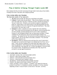 12C Flow of Matter and Energy