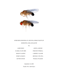 format for scientific paper - Frostburg State University