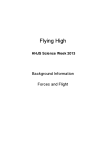 Flight – Background Information