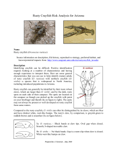 Rusty Crayfish Risk Analysis for Arizona