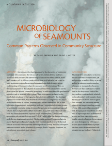 Microbiology of seaMouNts