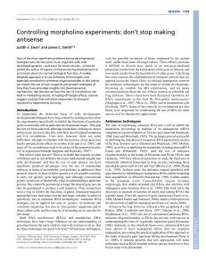Controlling morpholino experiments: don`t stop making antisense