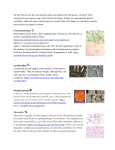 Catalogue of bacteria shapes