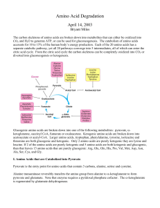 Amino Acid Degradation