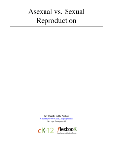 Asexual vs. Sexual Reproduction