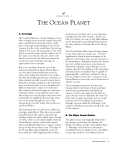 The Ocean Planet - South Carolina Sea Grant Consortium
