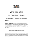 Who Eats Who In The Deep Blue?
