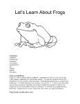 Let`s Learn About Frogs