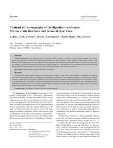 Contrast ultrasonography of the digestive tract lumen. Review of the