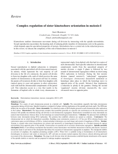 Complex regulation of sister kinetochore orientation in meiosis-I