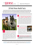 10 Draft Horse Health Facts