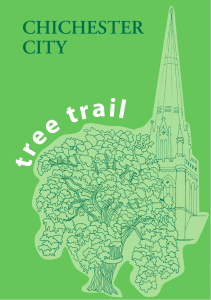 Chichester City Tree Trail - West Sussex County Council