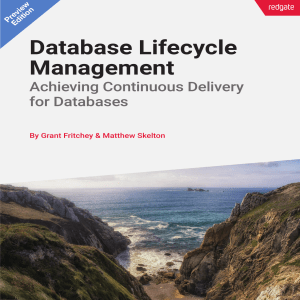 Database Lifecycle Management