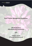 Best Practice Management Guidelines Rhododendron