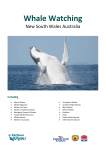 Whale Watching - Amazon Web Services