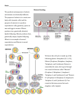 Meiosis Reading - Mr-Paullers-wiki