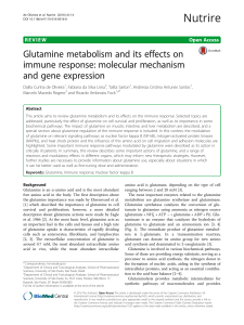 Glutamine metabolism and its effects on immune response