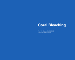 Coral Bleaching - UW Atmospheric Sciences