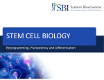 stem cell biology - System Biosciences