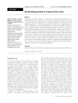 Decelerating growth in tropical forest trees