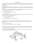 Perch Dissection 1. Do the nostrils lead into the