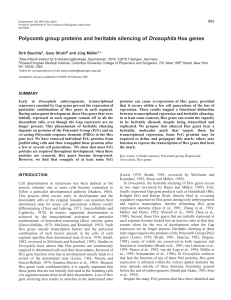 PcGs and Hox genes - Development