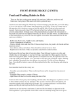 Food and Feeding Habits in Fish