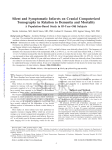 Silent and Symptomatic Infarcts on Cranial Computerized