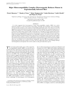 Major Histocompatibility Complex Heterozygosity Reduces Fitness