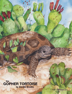 Teachers, the Gopher Tortoise Activity Book for your class!