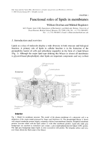 Functional Roles Of Lipids In membranes - IJS