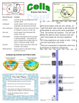 Science Fast Facts Cells Animal and plant cells are very similar, ex