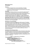 Biology 3B Laboratory The Chordates Objectives • Learn and