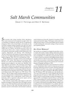 Salt Marsh Communities