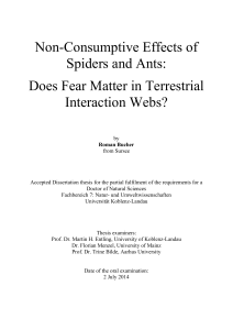 Non-Consumptive Effects of Spiders and Ants: Does Fear