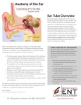 Ear Tubes Overview