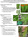 Common indicator plants of Missouri Upland Woodlands