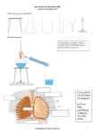 Unscramble me and label the diagram araTceh iRbs giarDhpam