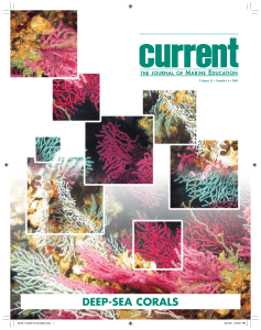 Deep-Sea Corals: Special Issue of Current, the Journal of Marine