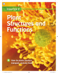 Chapter 2: Plant Structures and Functions