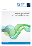 US Shale Oil Dynamics in a Low Price Environment