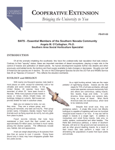 BATS - Essential Members of the Southern Nevada Community